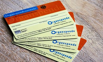 All types of ID Cards Printing